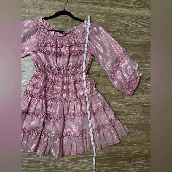 NWT Cynthia Rowley Ella Silk Metallic Foil Ruffle Mini Dress Metallic Blush XS - Picture 8 of 10